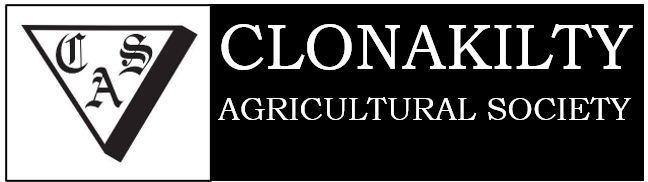 website logo